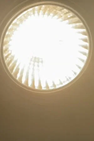 Постер: The wish