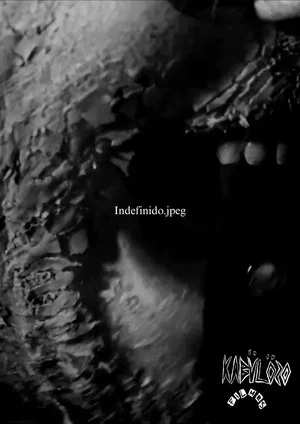 Постер: Indefinido.jpeg