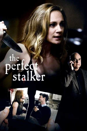 Постер: The Perfect Stalker