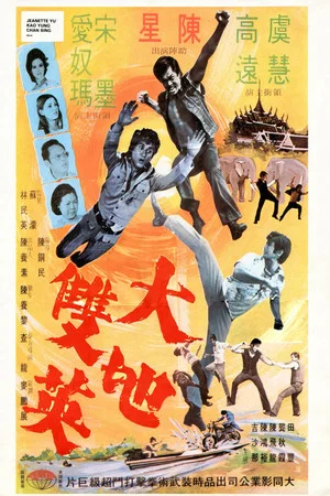 Постер: The Kung Fu Brothers