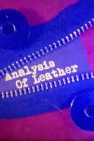 Постер: Analysis of Leather