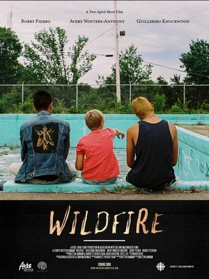 Постер: Wildfire