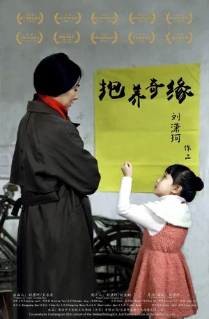Постер: 抱养奇缘