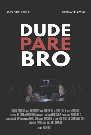 Постер: Dude Pare Bro