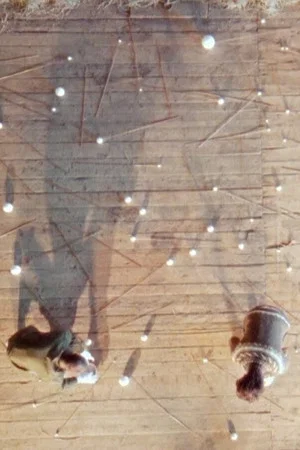 Постер: À force d’usure — instrumentarium altéré