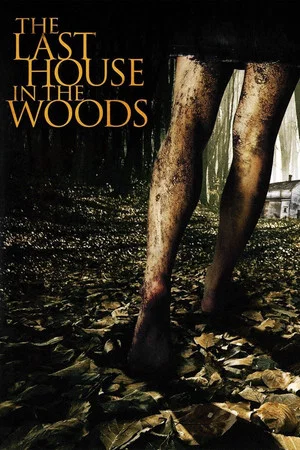 Постер: The Last House in the Woods