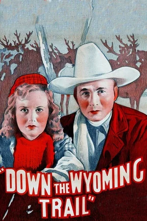 Постер: Down the Wyoming Trail
