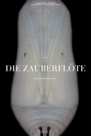 Постер: Mozart: Die Zauberflöte