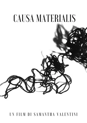 Постер: Causa Materialis