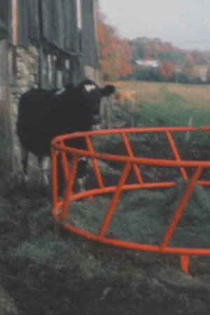 Постер: Super 8 Diary - 1991
