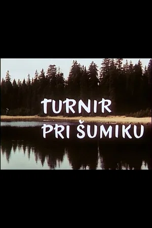 Постер: The Sumik Tournament