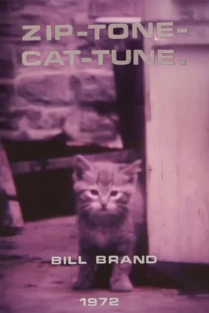 Постер: Zip-Tone-Cat-Tune