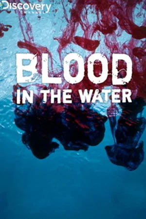 Постер: Blood in the Water