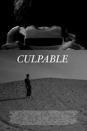 Постер: Culpable