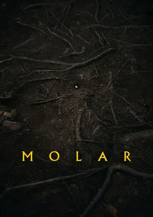 Постер: Molar