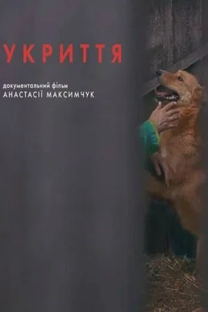 Постер: Refuge