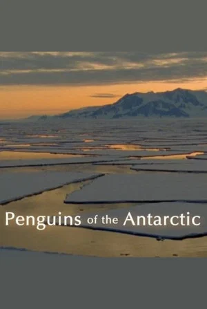 Постер: Penguins of the Antarctic