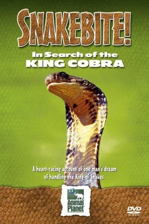 Постер: Snake Bite: In Search of the King Cobra