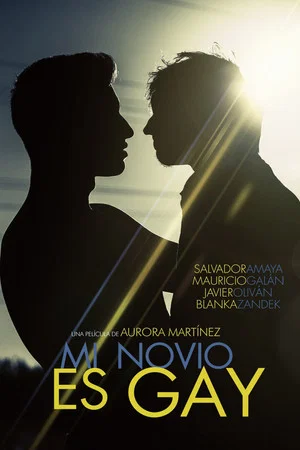 Постер: My Boyfriend Is Gay