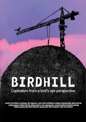 Постер: Birdhill