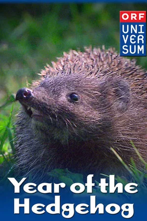 Постер: Year of the Hedgehog