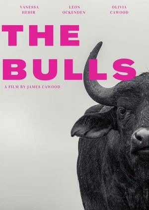 Постер: The Bulls