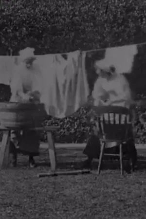 Постер: Washing the Sweep