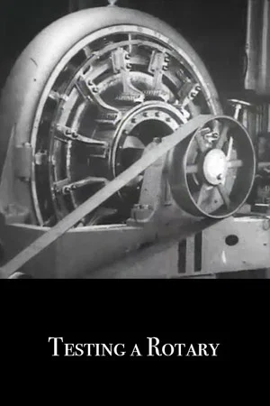 Постер: Testing a Rotary