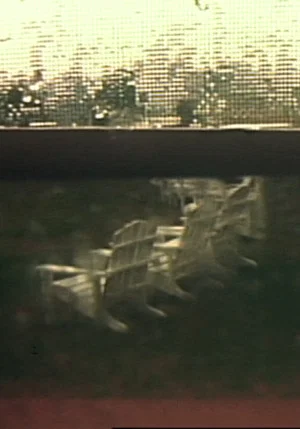 Постер: Group VIII: Hidden Tracings/Exposed Fragrances