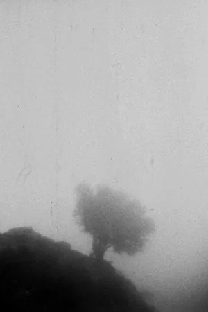 Постер: Only If You Could See a View Above the Clouds