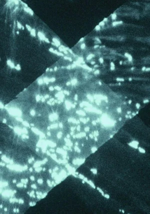 Постер: Light Trap