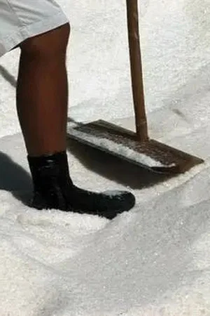 Постер: The Rise of the Salt Mountains