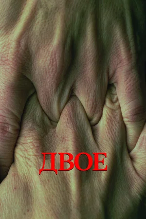 Постер: Двое