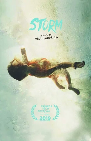 Постер: Storm