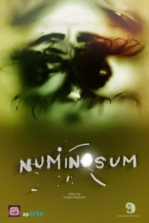 Постер: Numinosum