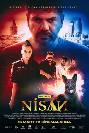 Постер: Nisan