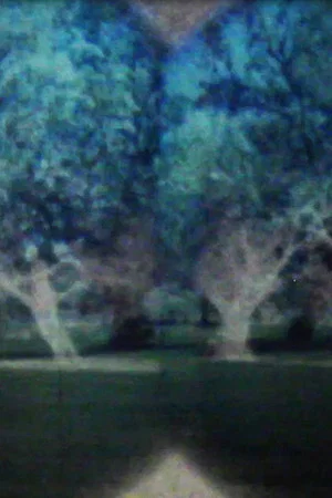 Постер: Apparitions
