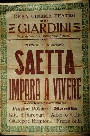 Постер: Saetta impara a vivere