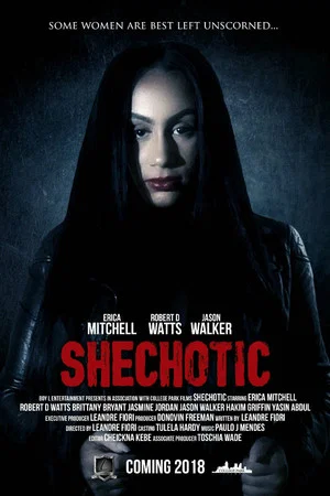 Постер: SheChotic