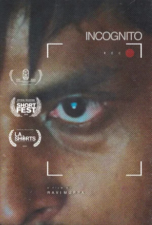 Постер: Incognito