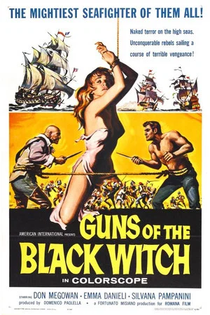Постер: Guns of the Black Witch