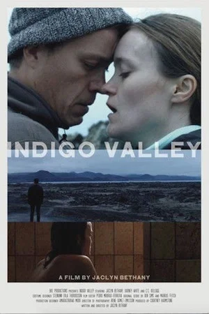 Постер: Indigo Valley