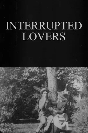 Постер: Interrupted Lovers