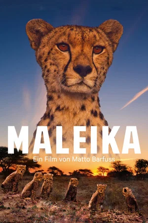 Постер: Maleika