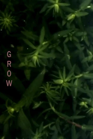 Постер: Grow