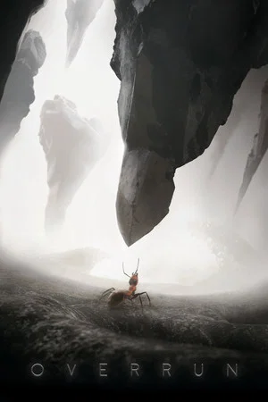 Постер: Overrun