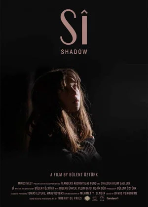 Постер: Shadow