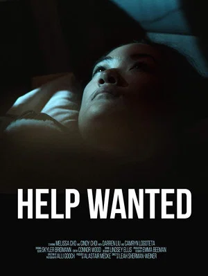 Постер: Help Wanted