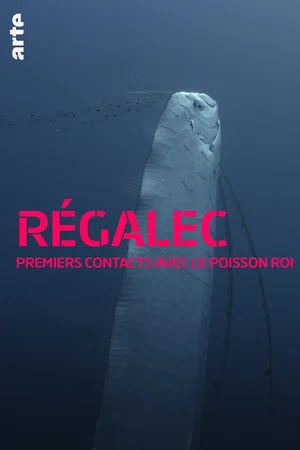 Постер: Régalec, premiers contacts avec le poisson roi