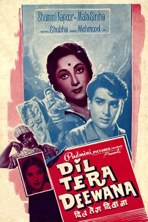 Постер: Dil Tera Diwana